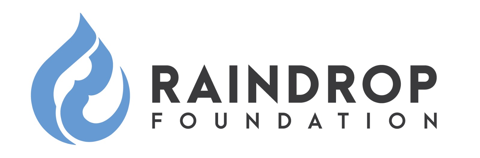 Raindrop Foundation Logo